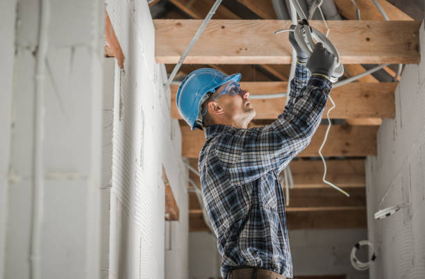 Best Electrical System Inspection  in Cannelton, IN